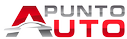 Logo Punto Auto Srl